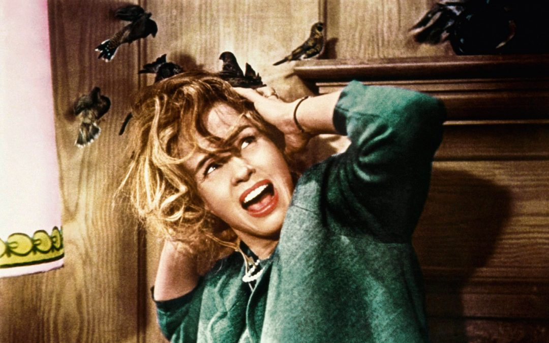 The 60 Best Spooky Movies to Watch for Halloween