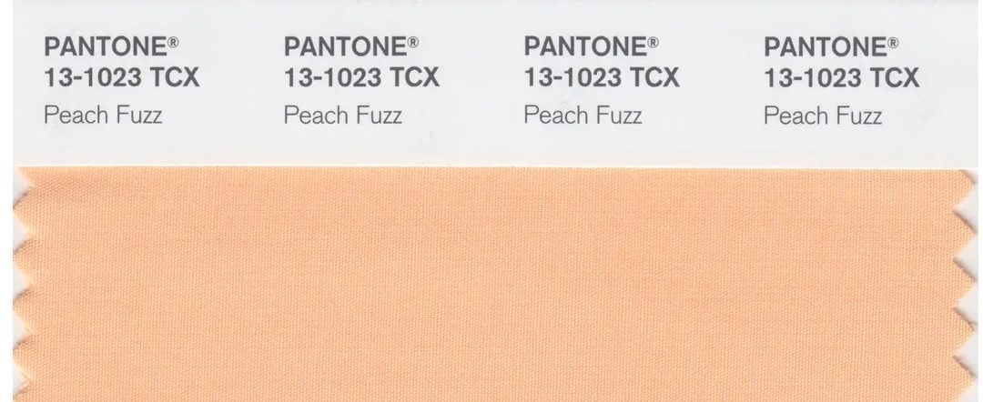 ICYMI: Peach Fuzz, Pantone’s 2024 Color of the Year, Is a Call for Human Connection